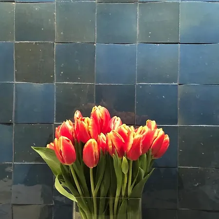 Appartement Statthaus - Statt Keulen