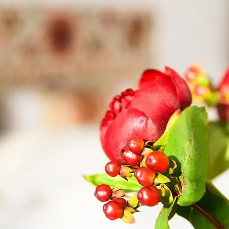 Apartment Statthaus - Statt *