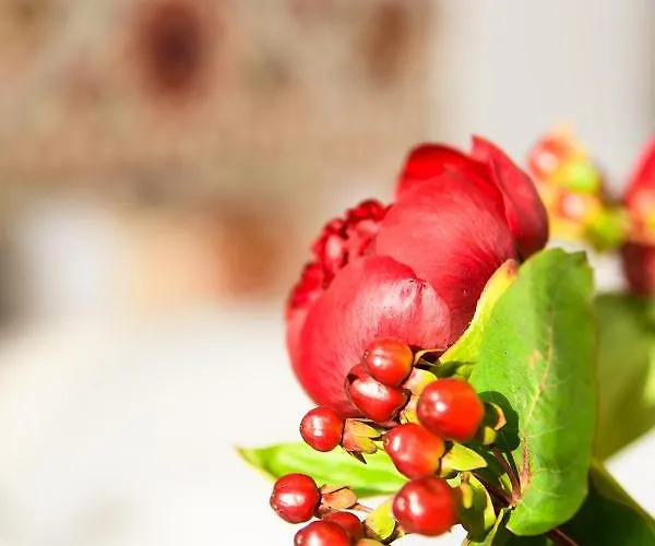 Apartamento Statthaus - Statt *