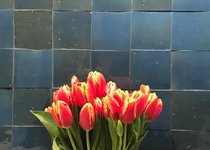 公寓 Statthaus - Statt 科隆